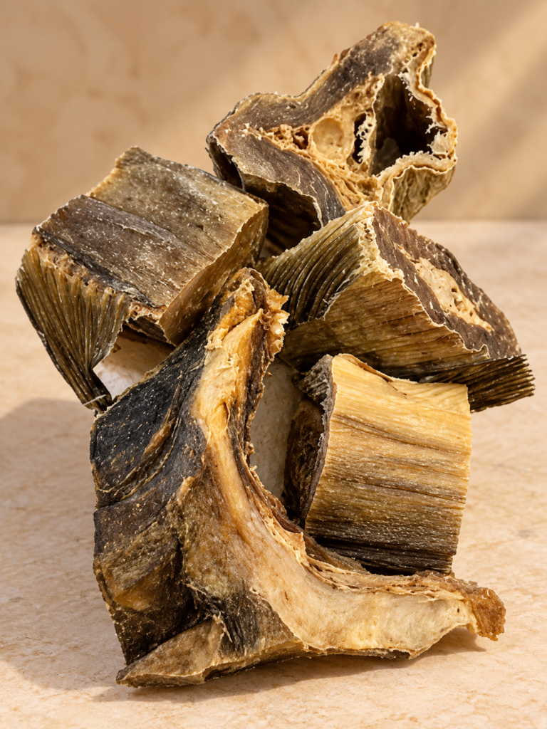 Premium dried stockfish cutlets arranged on a warm CaMasi Maison editorial background