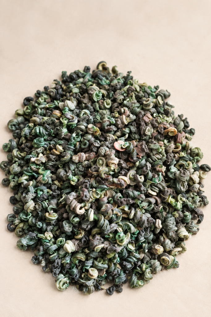Fresh shelled periwinkle meat arranged on a warm CaMasi Maison editorial background.