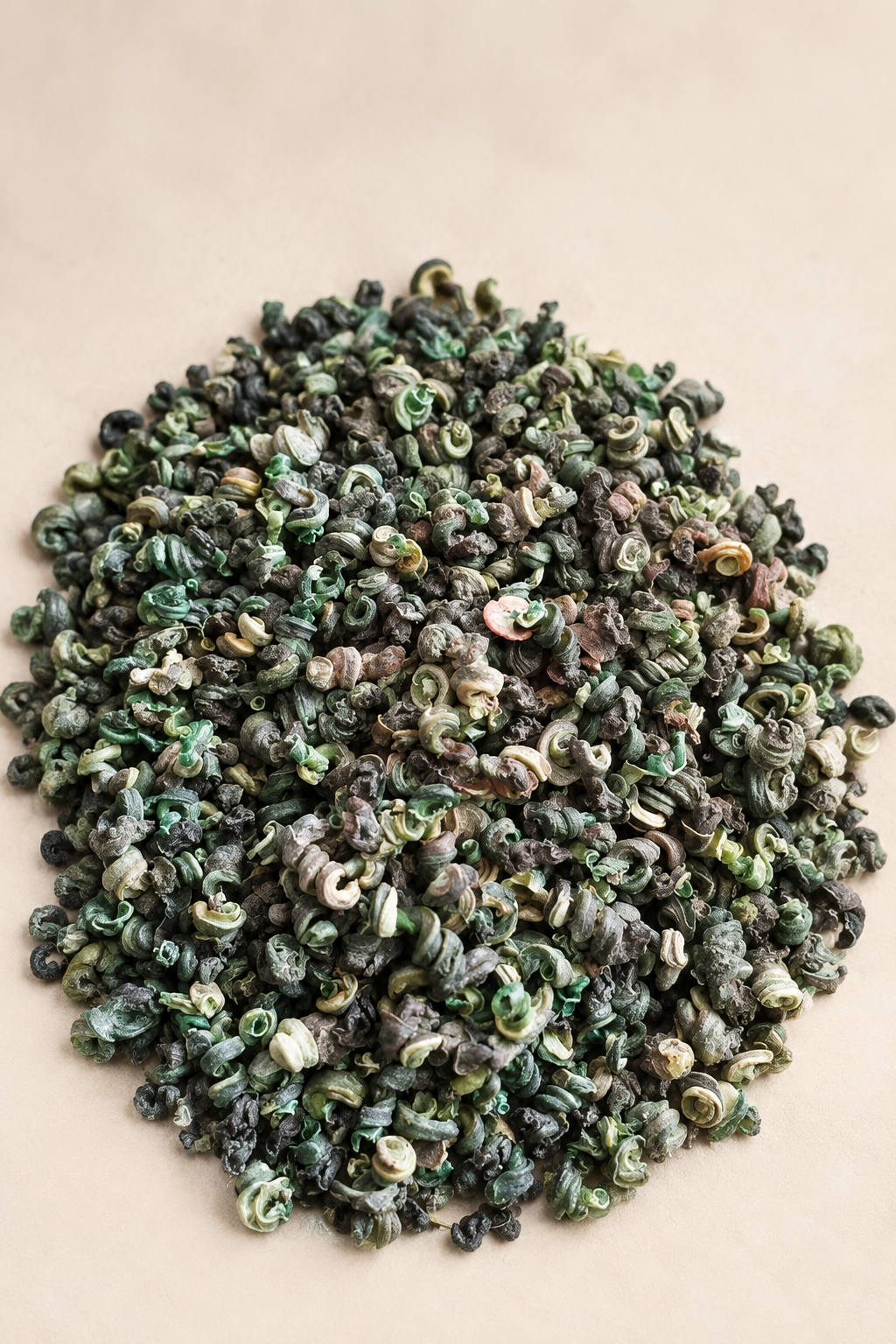 Fresh shelled periwinkle meat arranged on a warm CaMasi Maison editorial background.